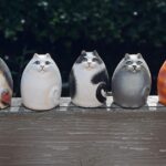 ceramic cats, handmade, art-2759936.jpg